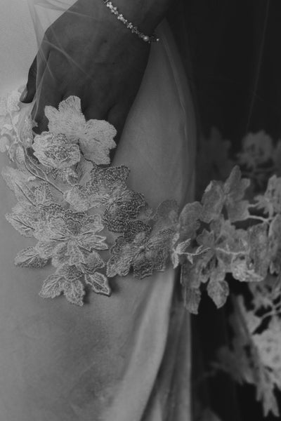 Alexandria Veil