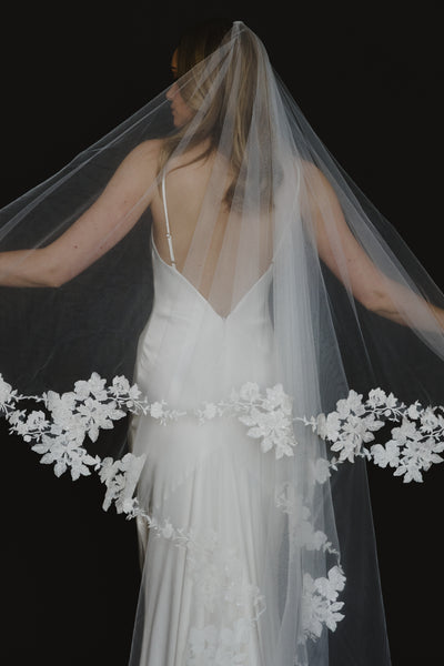 Alexandria Veil