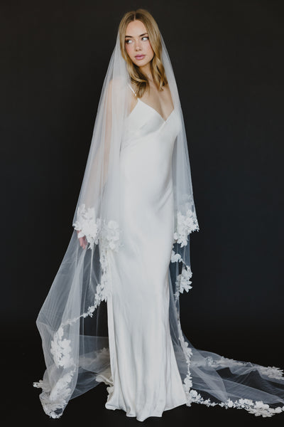 Alexandria Veil