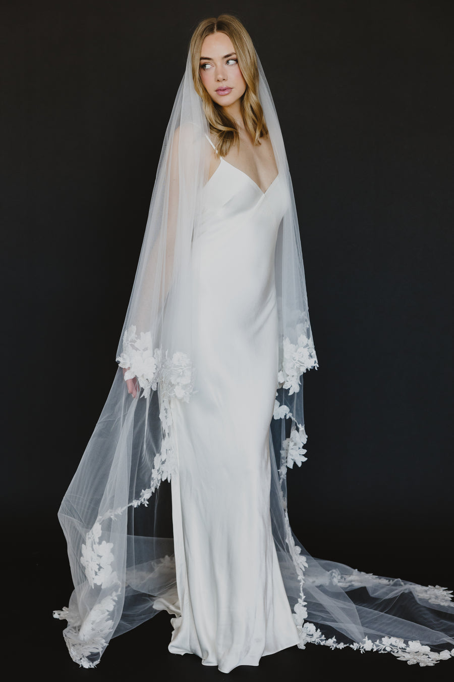 Alexandria Veil