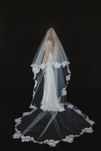 Alexandria Veil