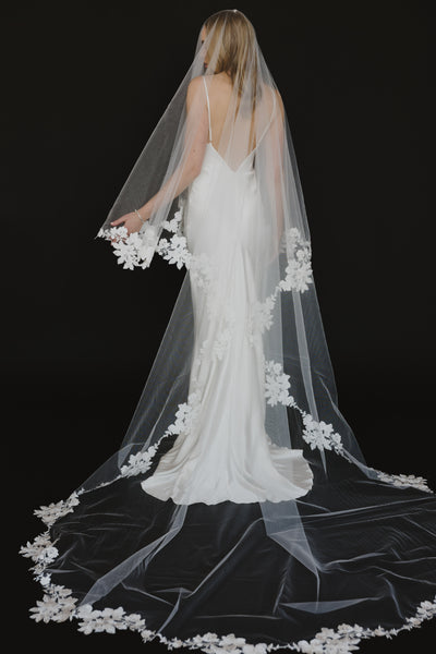 Alexandria Veil