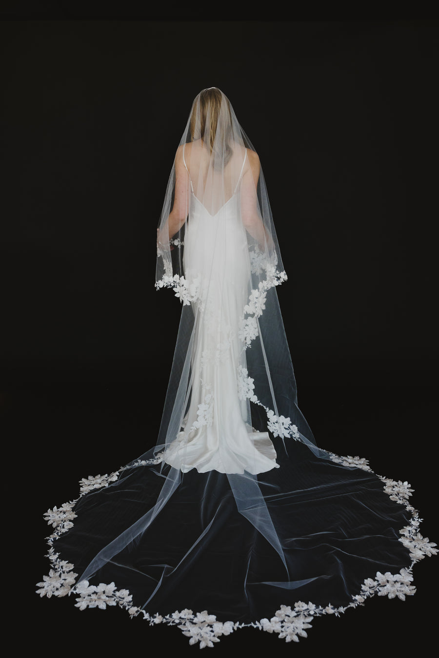 Alexandria Veil