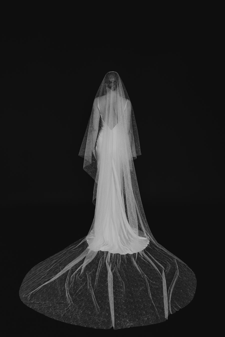 Candlelight Sparkle Veil – Untamed Petals