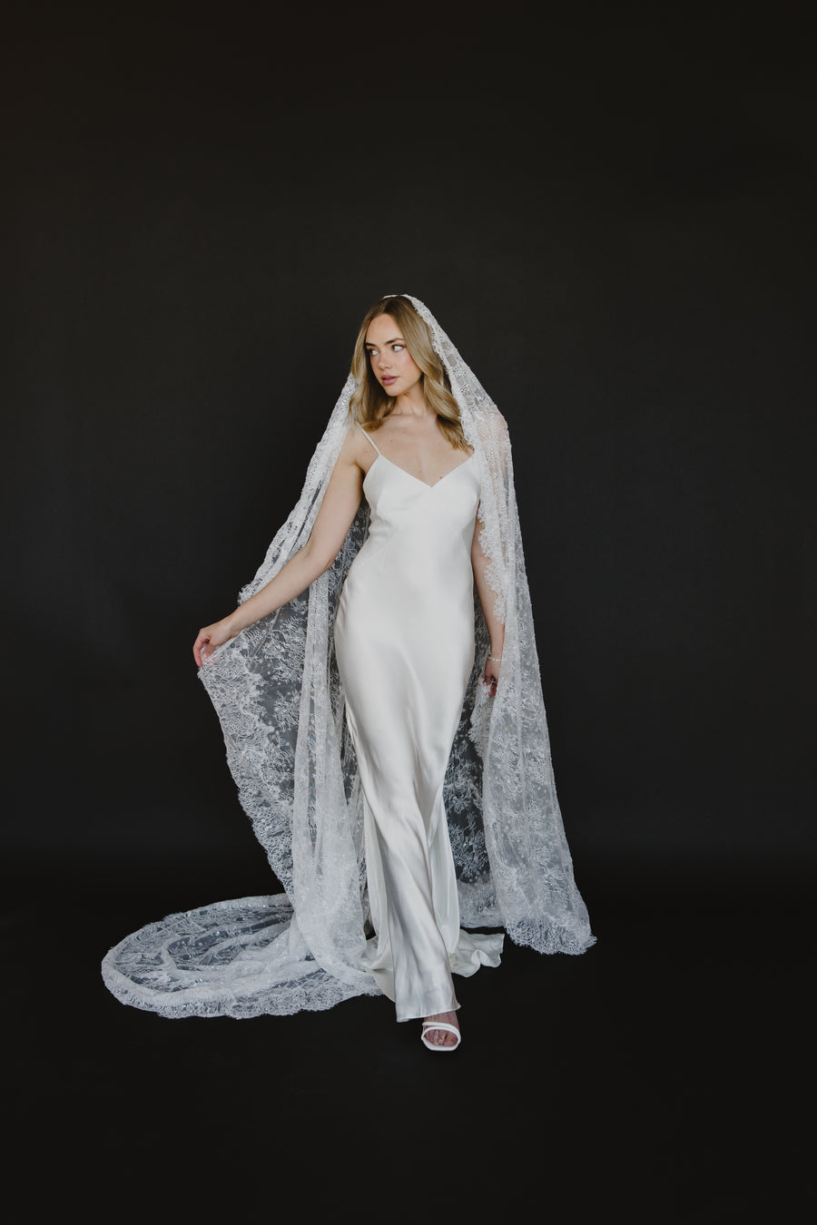 Delphine Veil