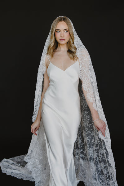 Delphine Veil