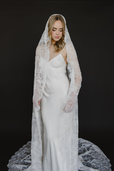 Delphine Veil
