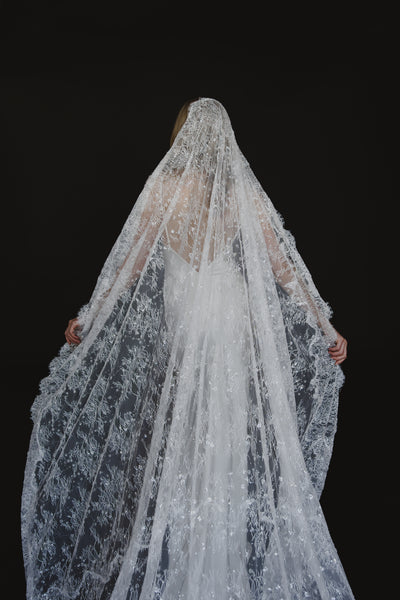 Delphine Veil