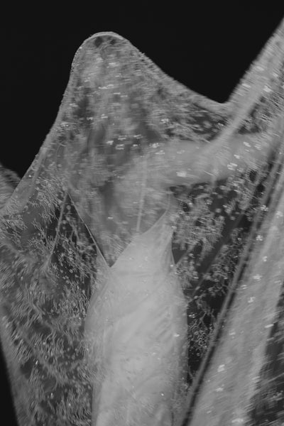 Delphine Veil