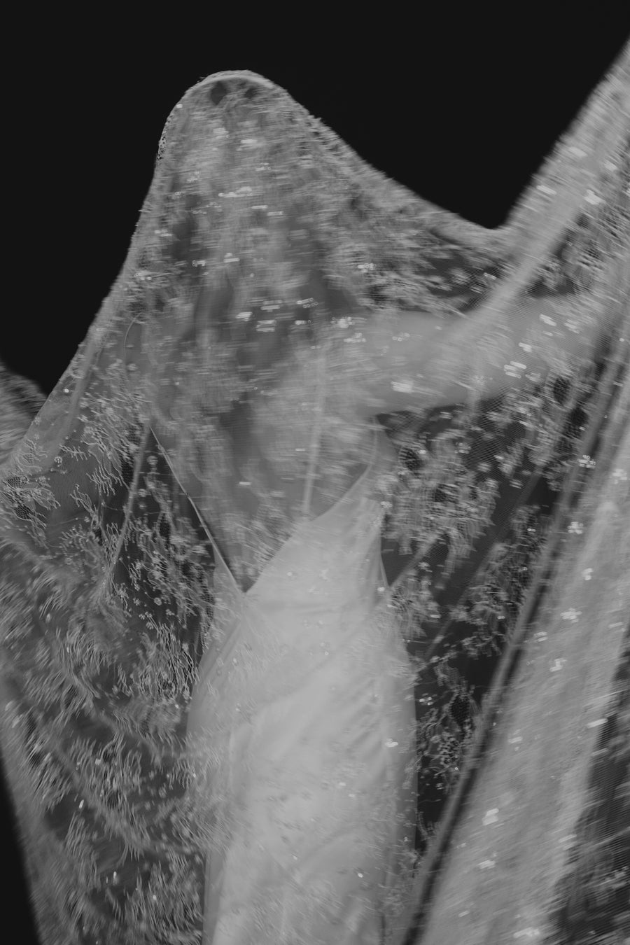 Delphine Veil