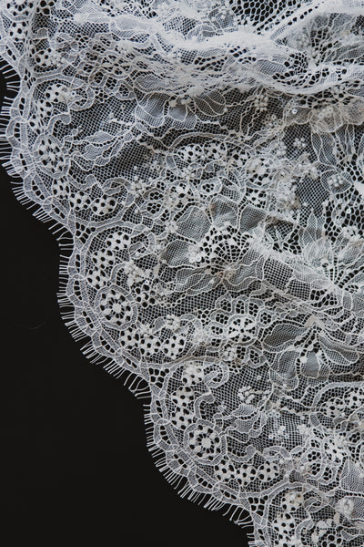 Delphine Veil