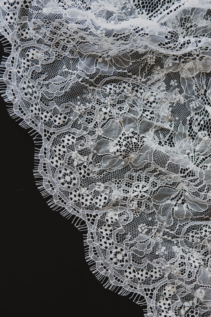 Delphine Veil