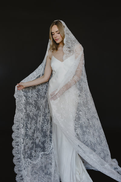 Delphine Veil