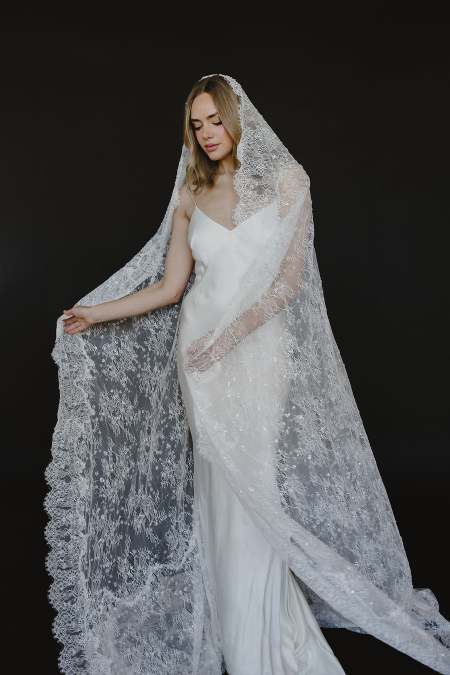 Delphine Veil
