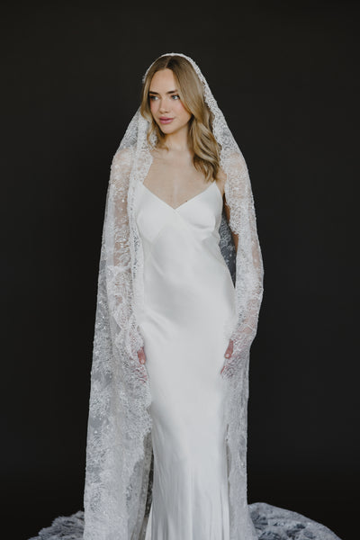 Delphine Veil