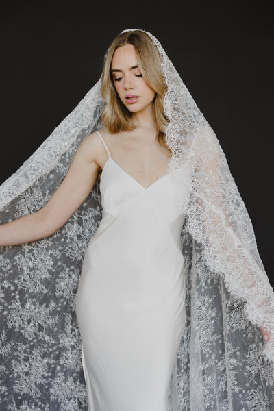 Delphine Veil