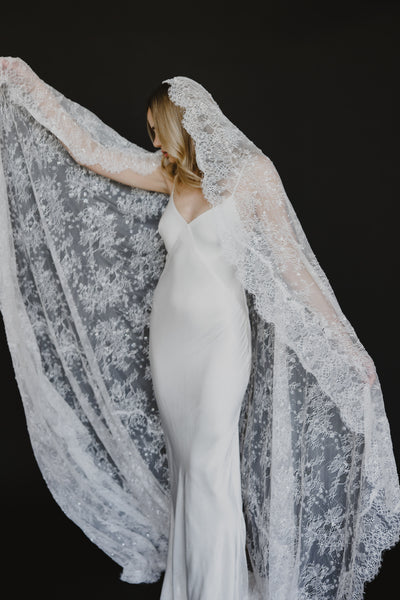 Delphine Veil