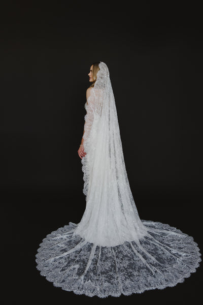 Delphine Veil
