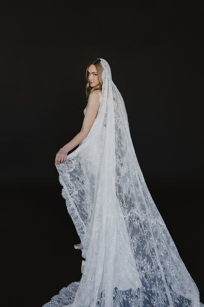 Delphine Veil