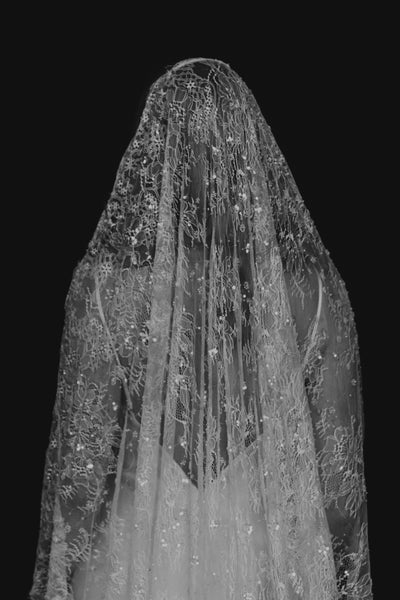 Delphine Veil
