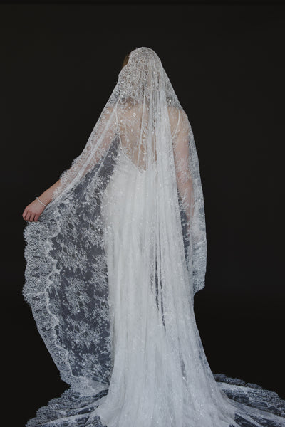 Delphine Veil