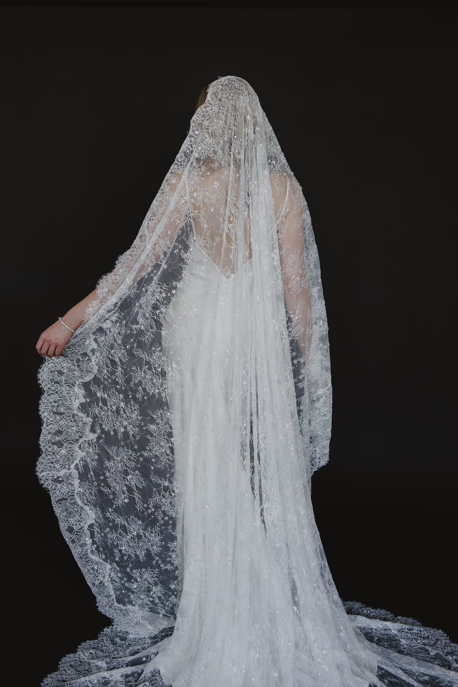 Delphine Veil