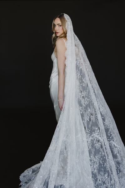 Delphine Veil