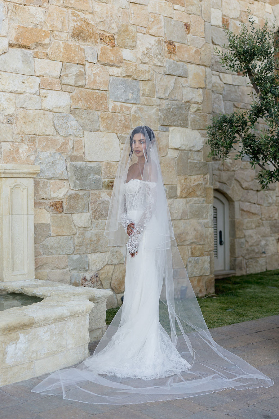 Dylan Veil
