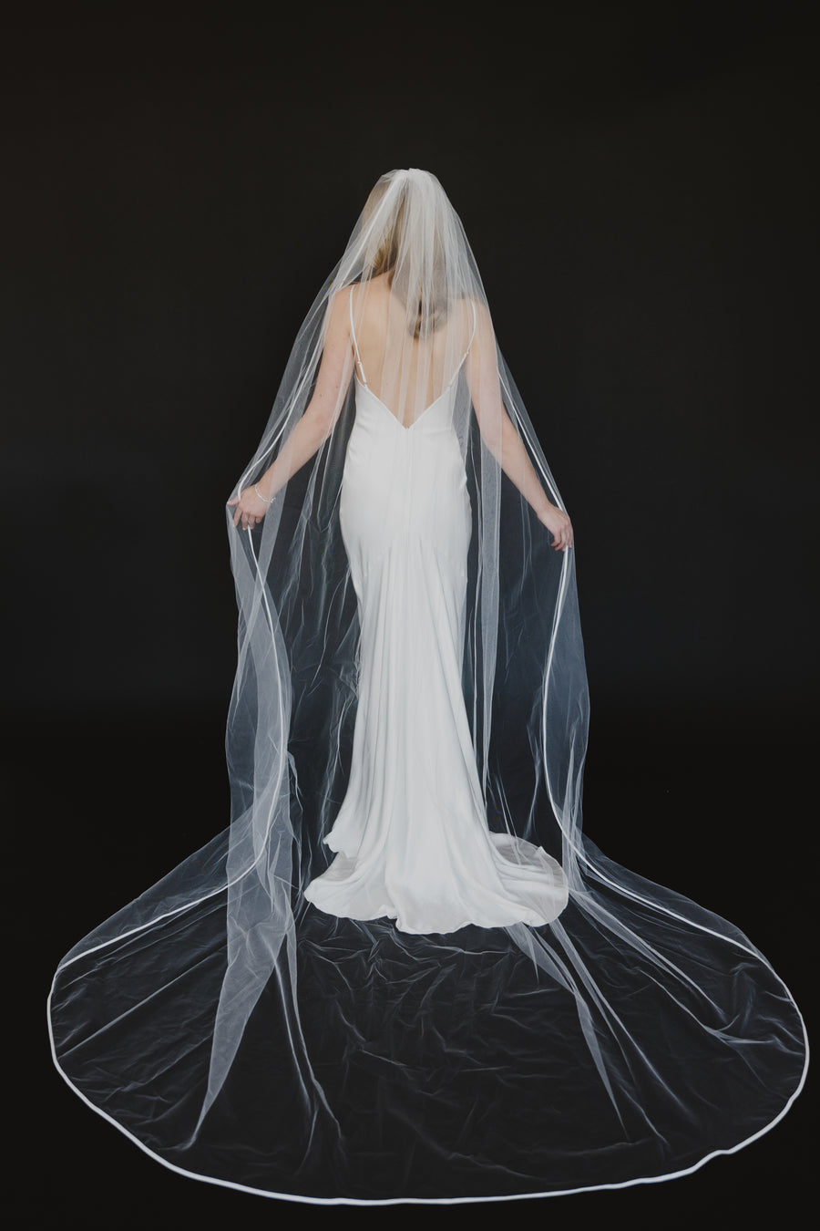 Hollister Veil