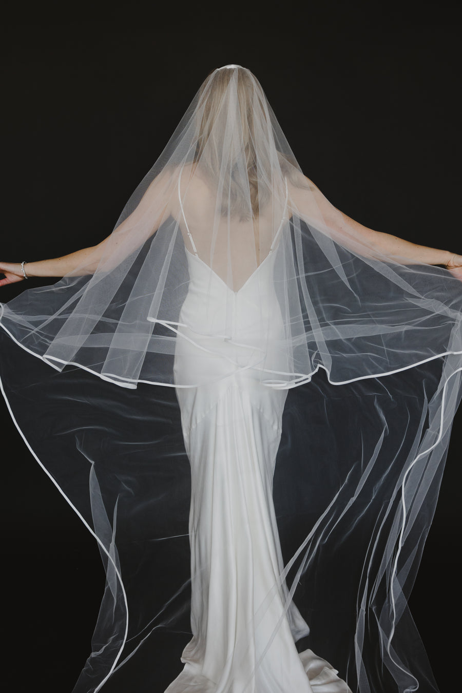 Hollister Veil