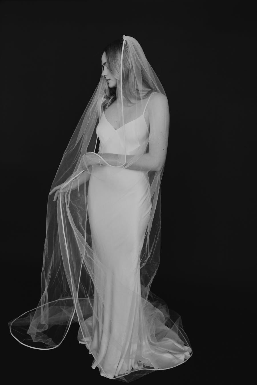 Hollister Veil