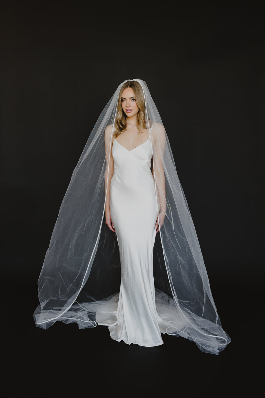 Hollister Veil