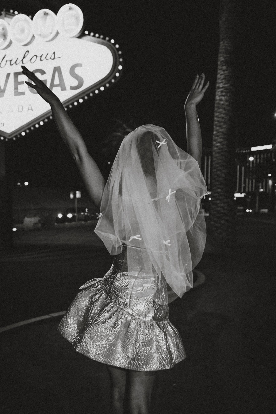 Last Toast Mini Veil