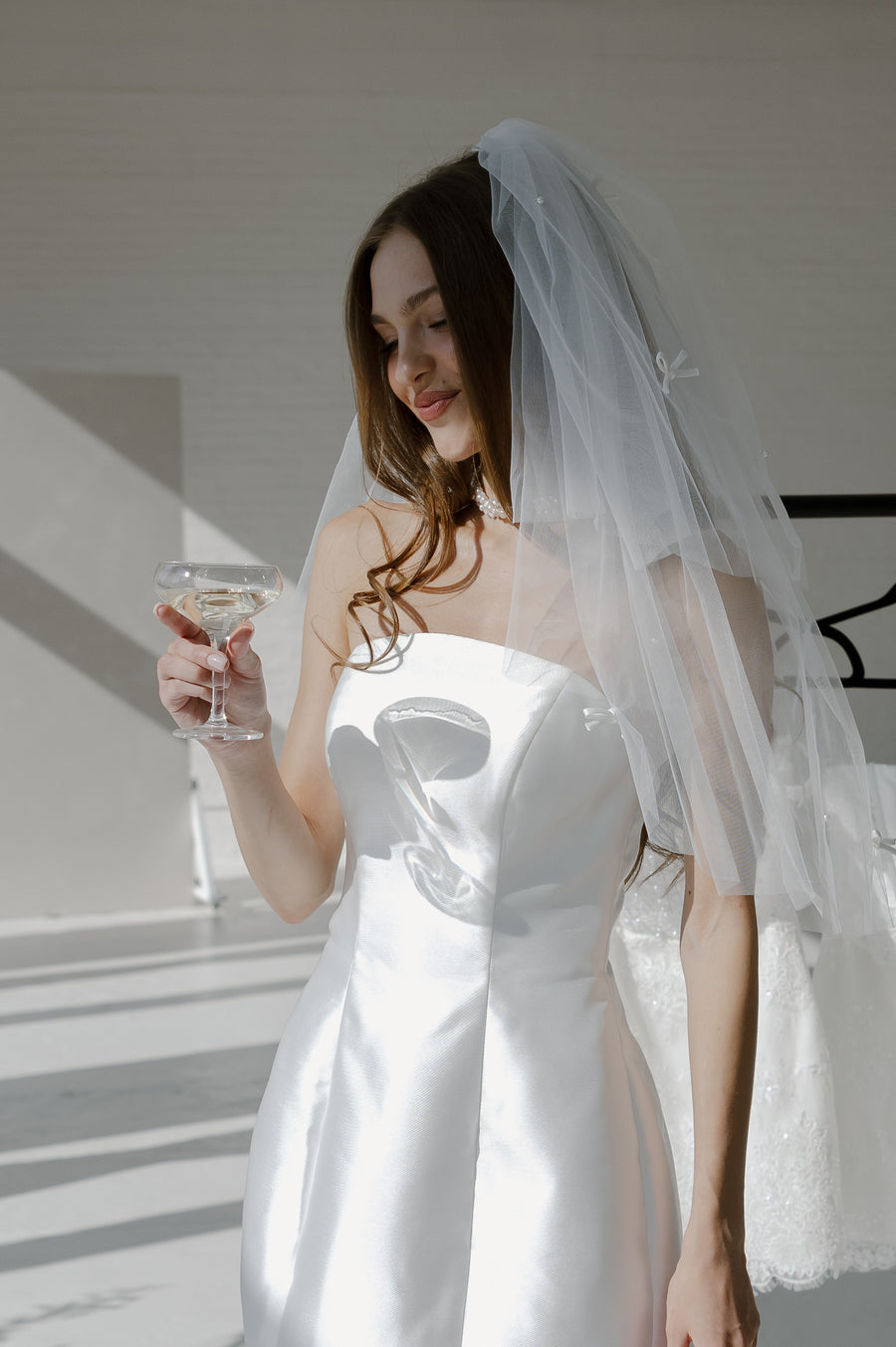 Last Toast Mini Veil
