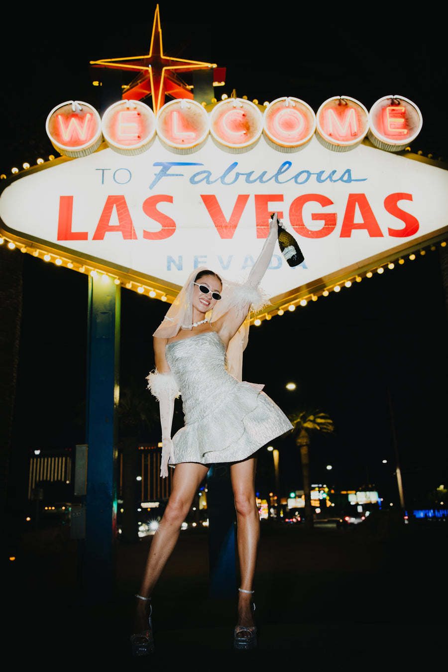 Nicky Mini Dress