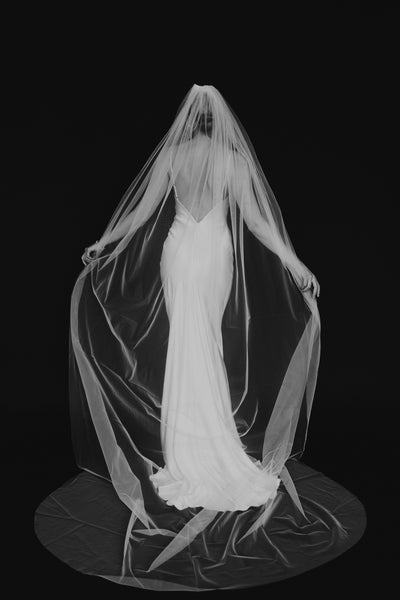 Nicole Veil
