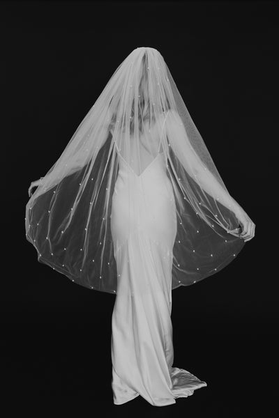 Oyster Veil