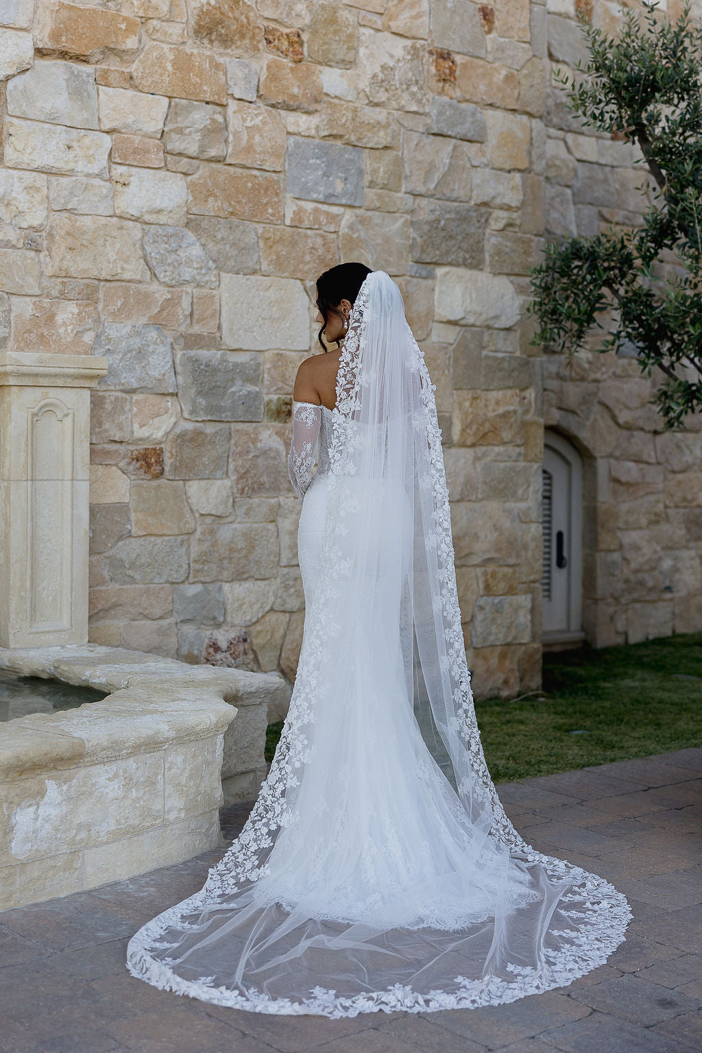 Posie Veil – Untamed Petals
