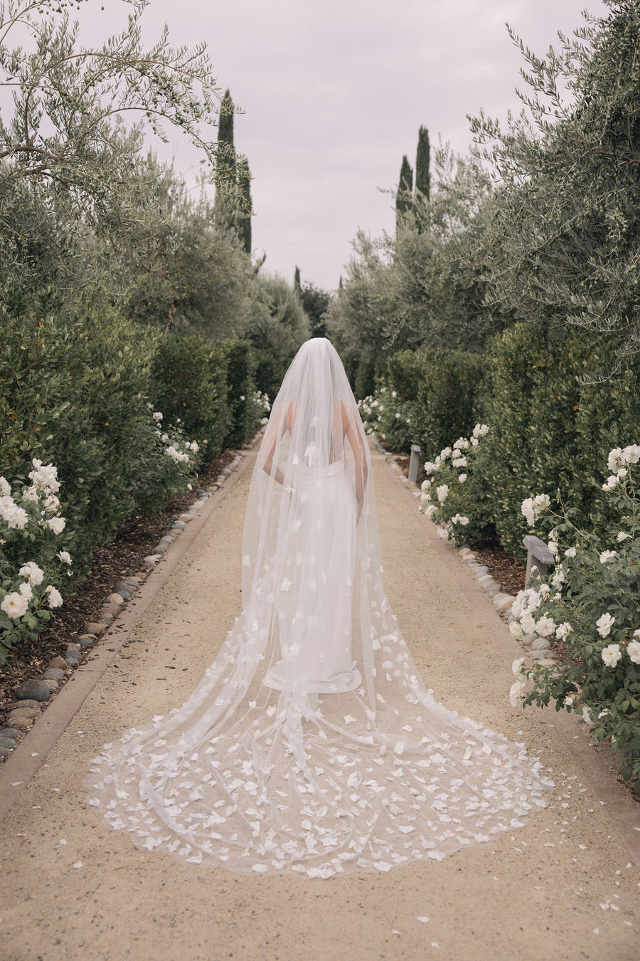 Sarai Veil