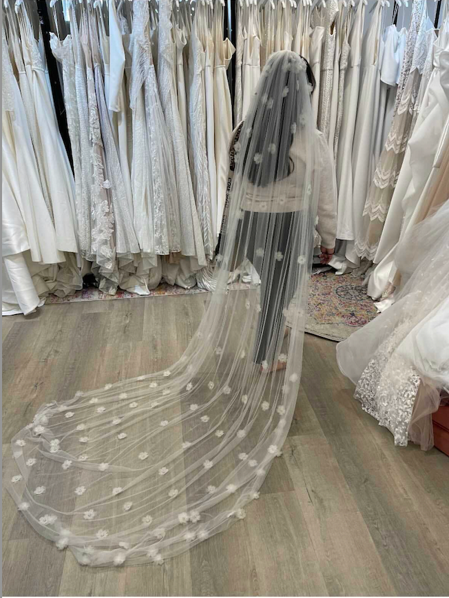 Baltimore Veil