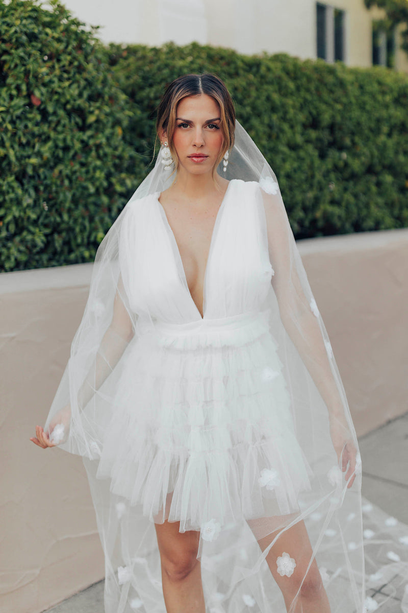 Bastille Veil