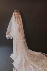 Delaney Veil