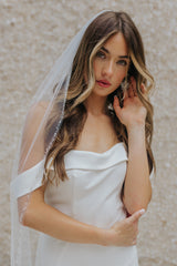Gossip Veil