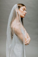 Oyster Veil
